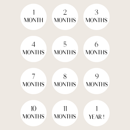 Monthly Milestones - Numerical Digits